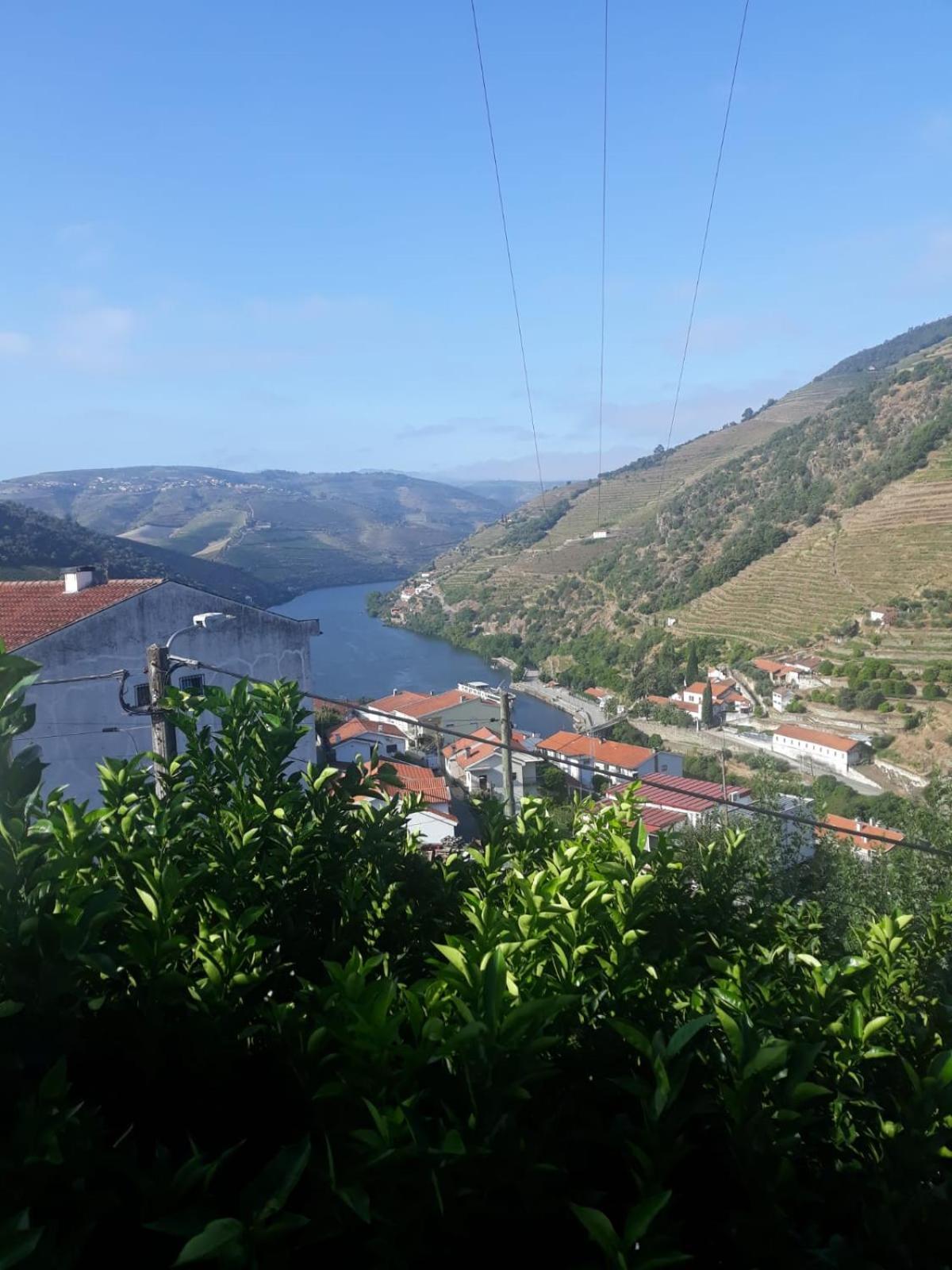 Casa Das Laranjeiras Pinhão Exteriör bild